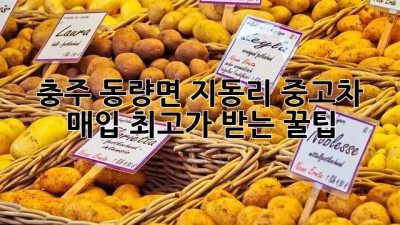 충주 동량면 지동리 중고차 매입, ✨최고가 받는 꿀팁✨